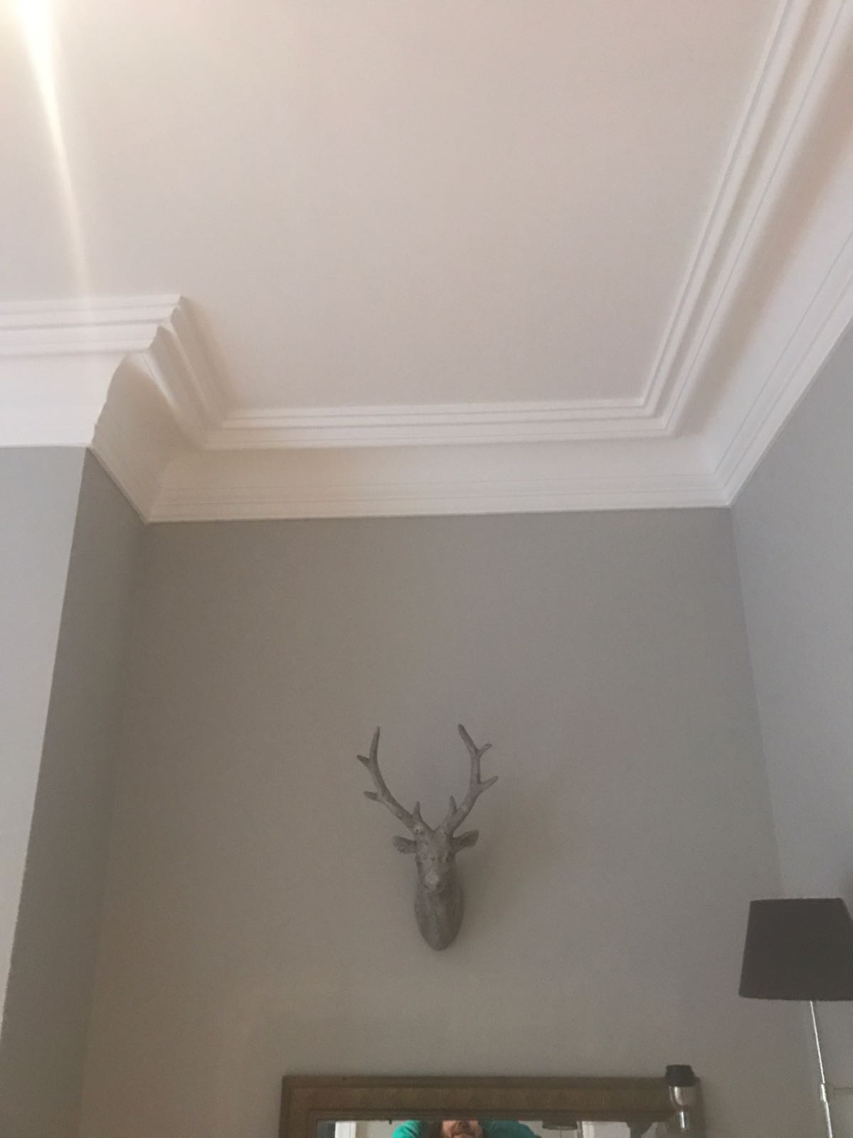 Grand victorian coving C25 design, victorian cornice