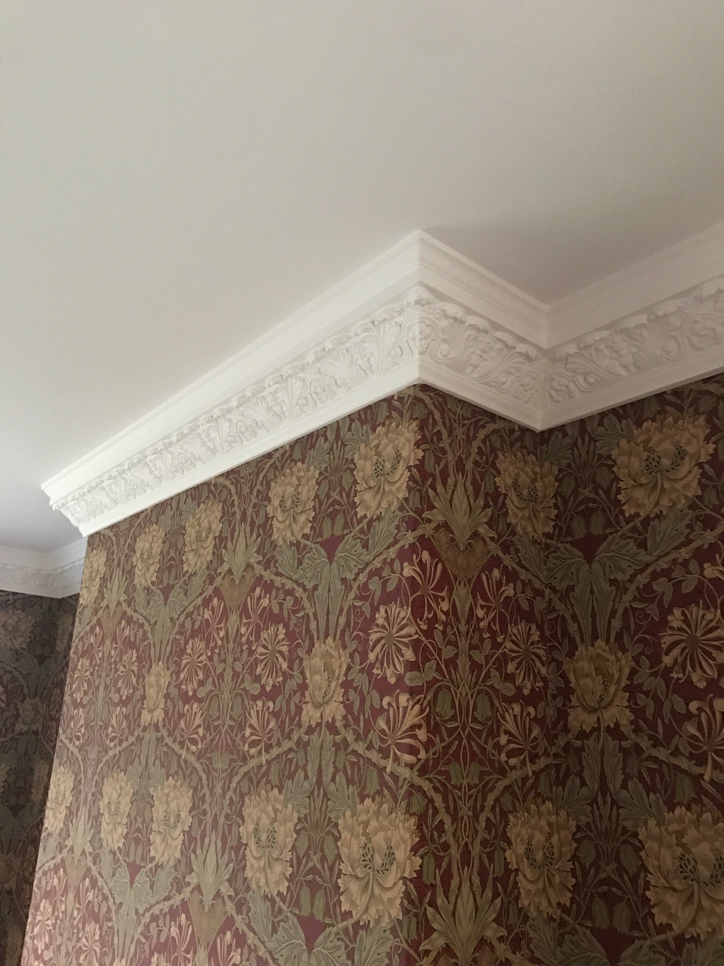 Large Acanthus C23