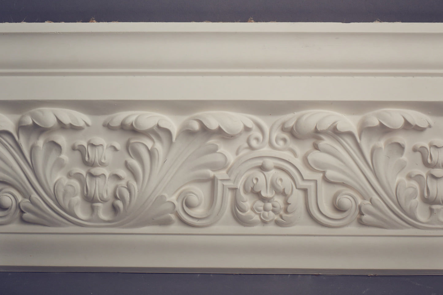 Large Acanthus C23