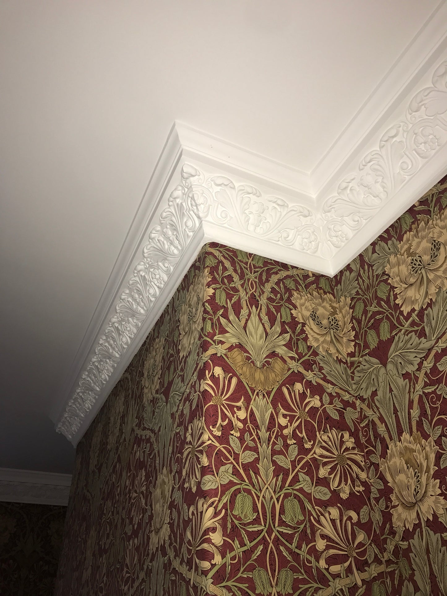 Large Acanthus C23