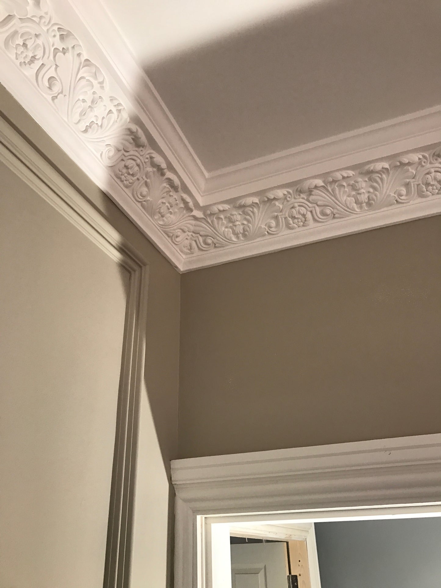 Large Acanthus C23