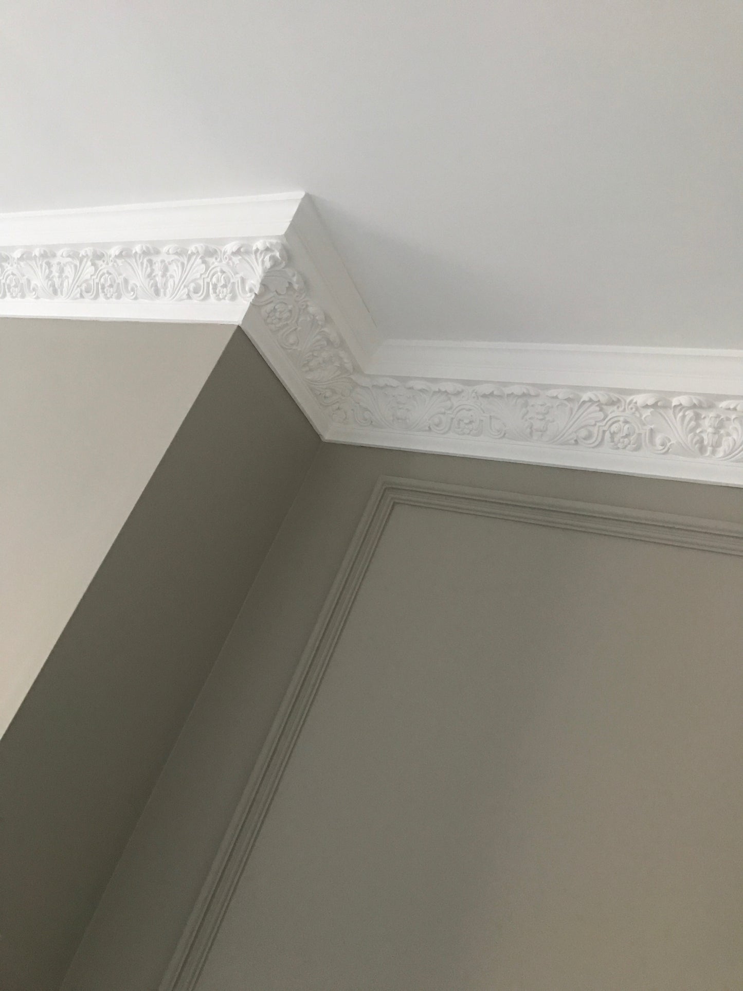 Large Acanthus C23