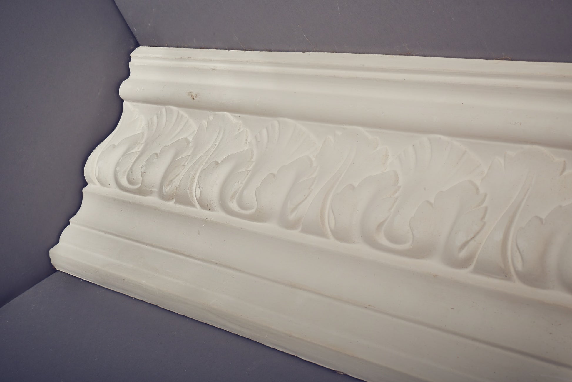adams leaf c39 cornice