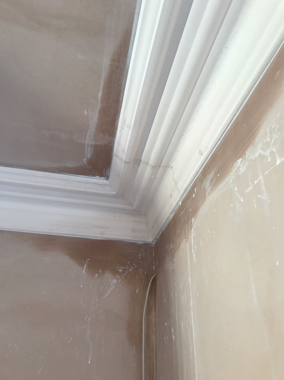 victorian plaster coving cp24