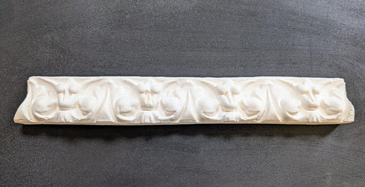 Crown Acanthus